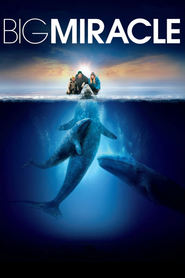Poster for the movie "Big Miracle 2012"