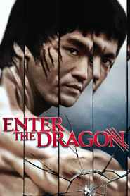 Poster for the movie "Enter the Dragon 1973"