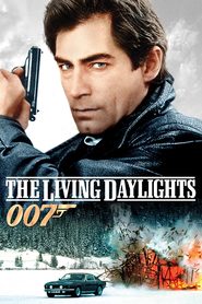 Poster for the movie "The Living Daylights 1987"