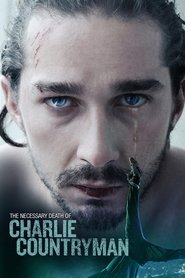 Poster for the movie "The Necessary Death of Charlie Countryman 2013"