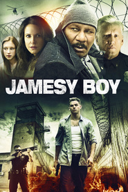 Poster for the movie "Jamesy Boy 2014"