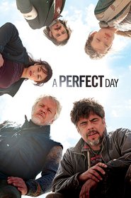 Poster for the movie "A Perfect Day 2015"